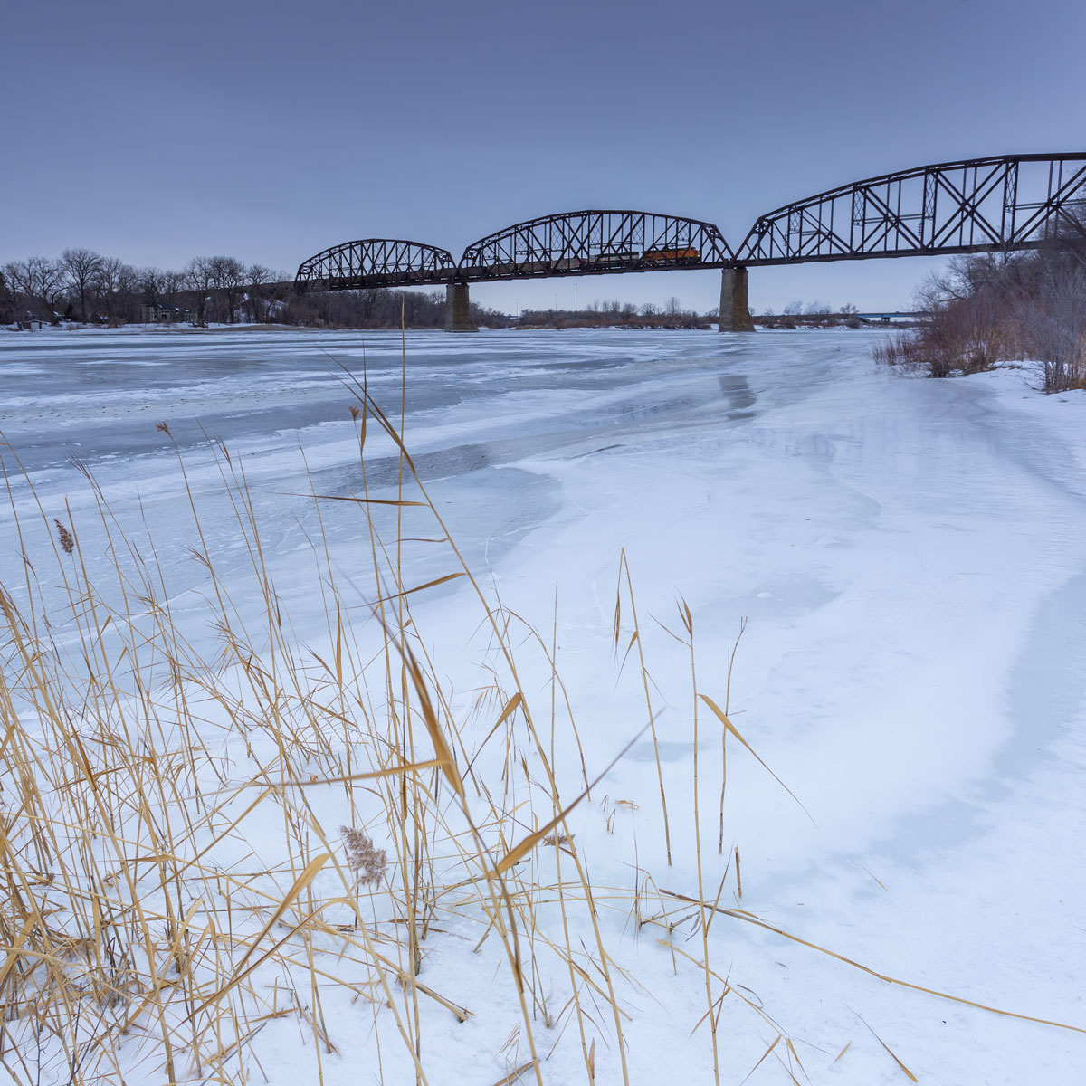 A train is crossing a bridge over the frozen Missouri River. In the left third of the foreground golden yellow reeds stand amid snow and ice. Lines in the frozen water of the river lead the way to a railroad bridge where the locomotive was placed almost to the top right intersection of the Rule-of-Thirds grid. 
