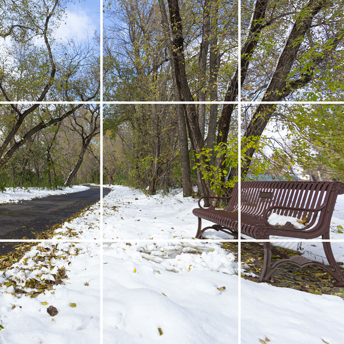 A three row by three column grid laid out on an image of a snow covered park and trees with a walking path placed in the left third of the grid and a bench placed in the right third of the grid depicts the use of the Rule-of-Thirds in landscape photography.