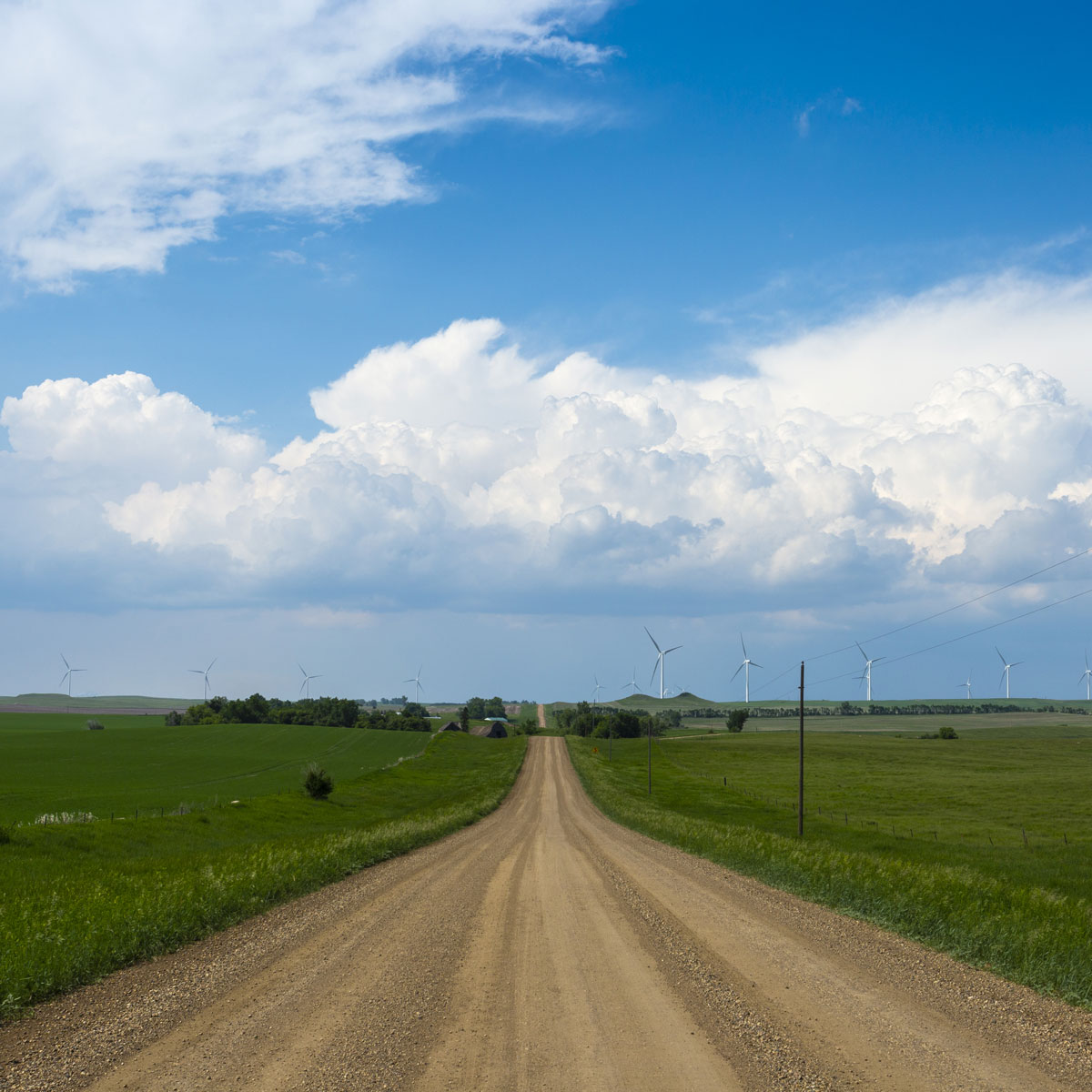 A thunderstorm cloud approaches on the horizon on a country dirt road leading through lush green prairie with wind turbines in the distance.