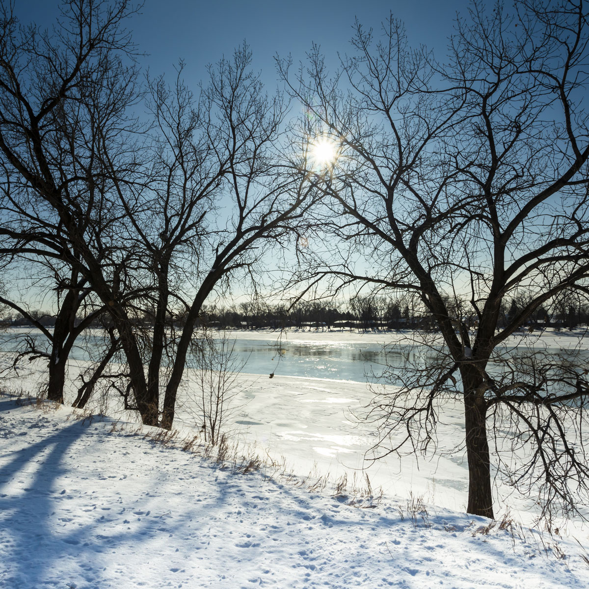 Surrounded by snow two barren trees appear to hold a winter star burst sun in the blue sky while framing a view of a frozen Missouri River in Bismarck, North Dakota.