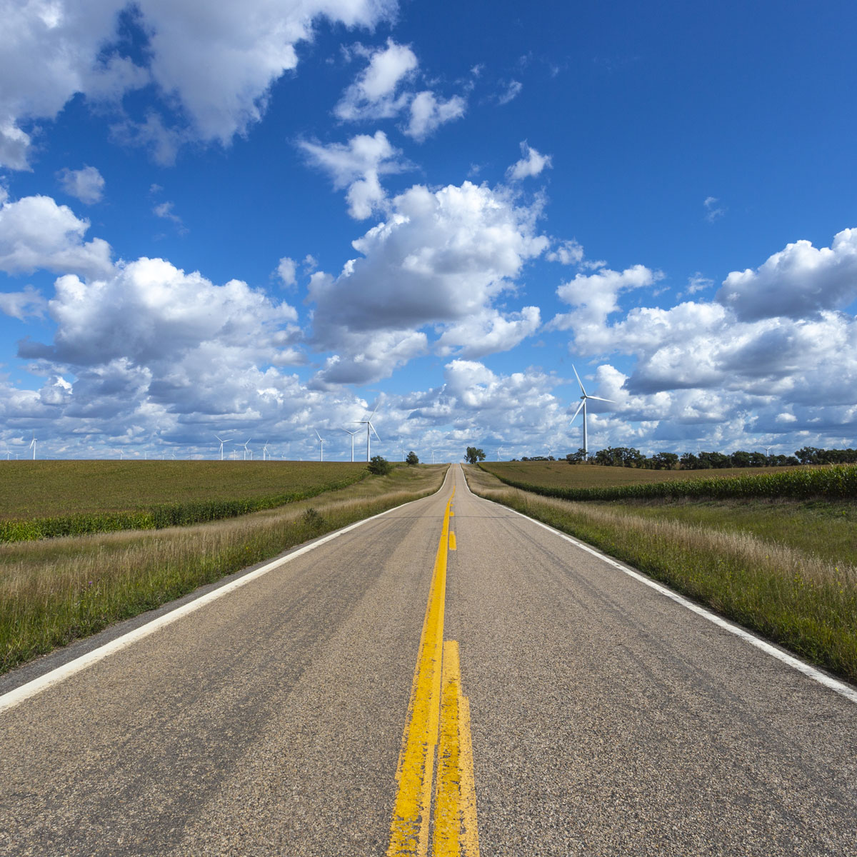 The yellow centerline of a highway leads into the distance between cornfields beneath blue sky and puffy white clouds. Wind turbines tower on either side on the horizon.