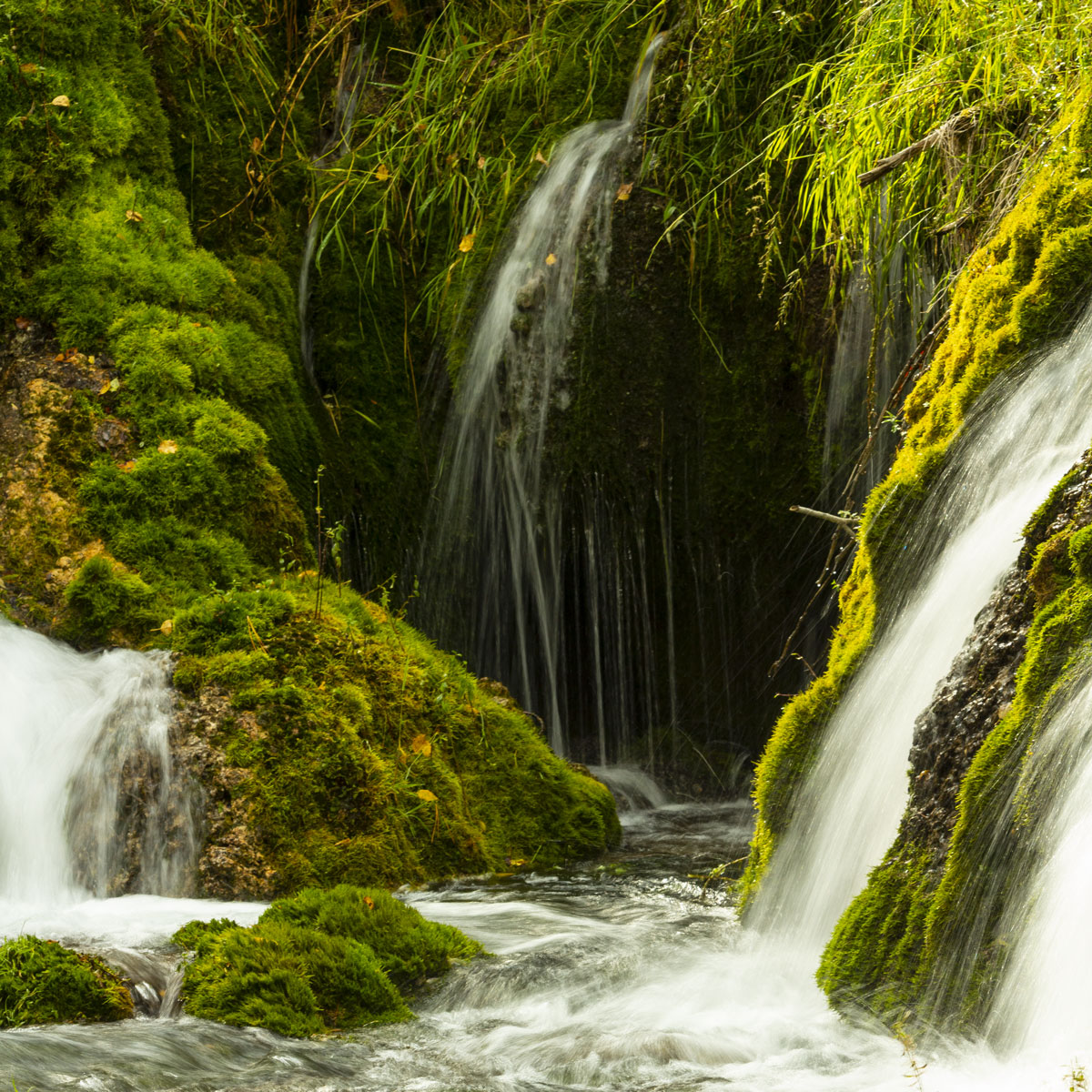 Sparkling waters of Roughlock Falls pour down over green lichen covered rocks into several smaller waterfalls