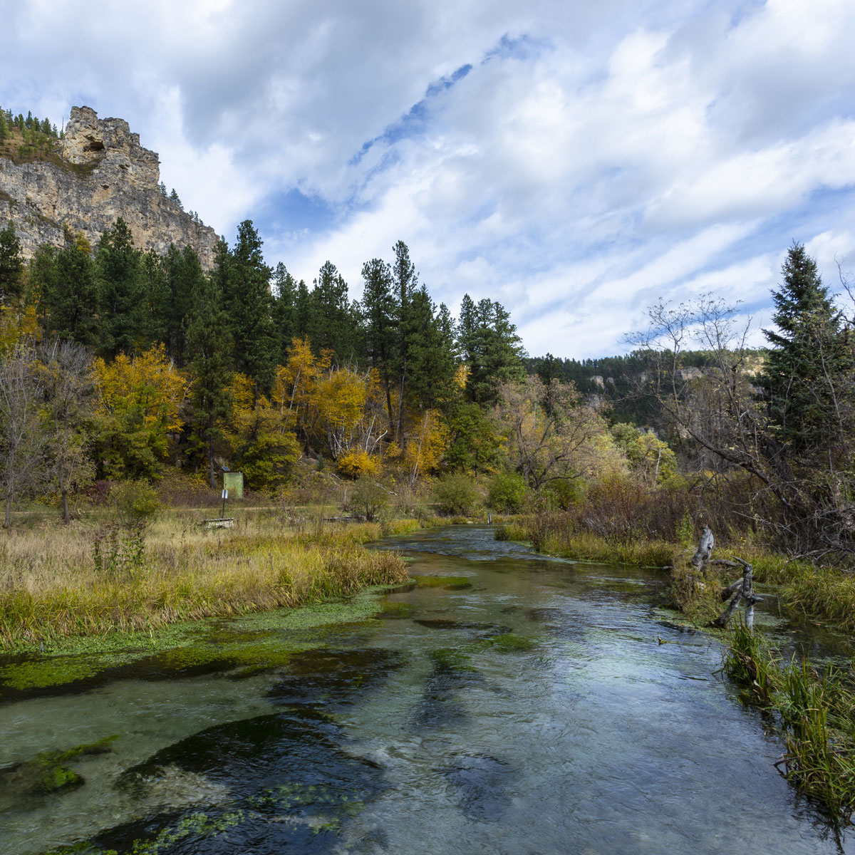 The clear waters o Spearfish Creek surrounded by yellow and green trees flow through Spearfish Canyon bubbling over rocks along the way.