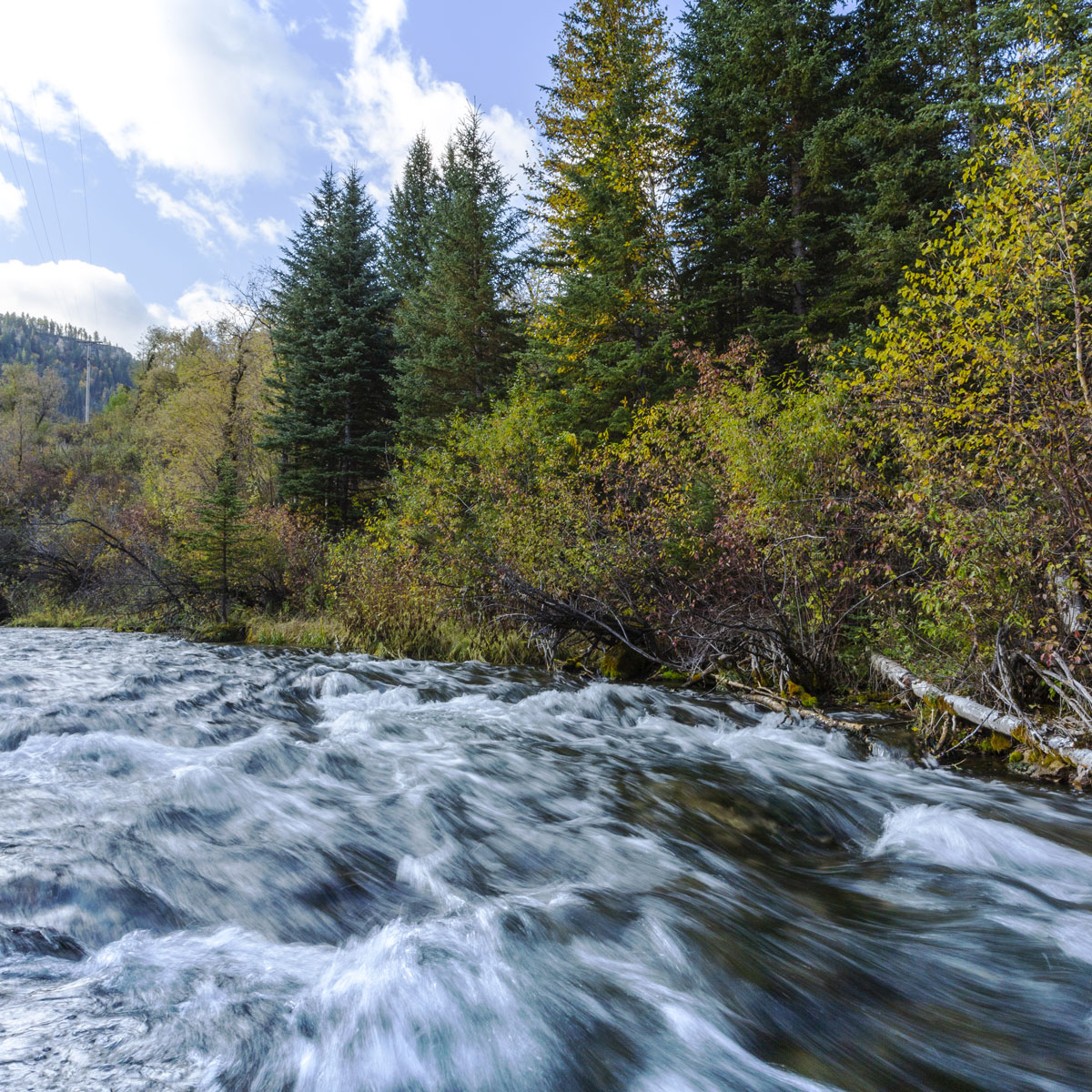 A closeup view of rushing waters at Spearfish Creek surrounded by yellow and green Autumn woodlands.