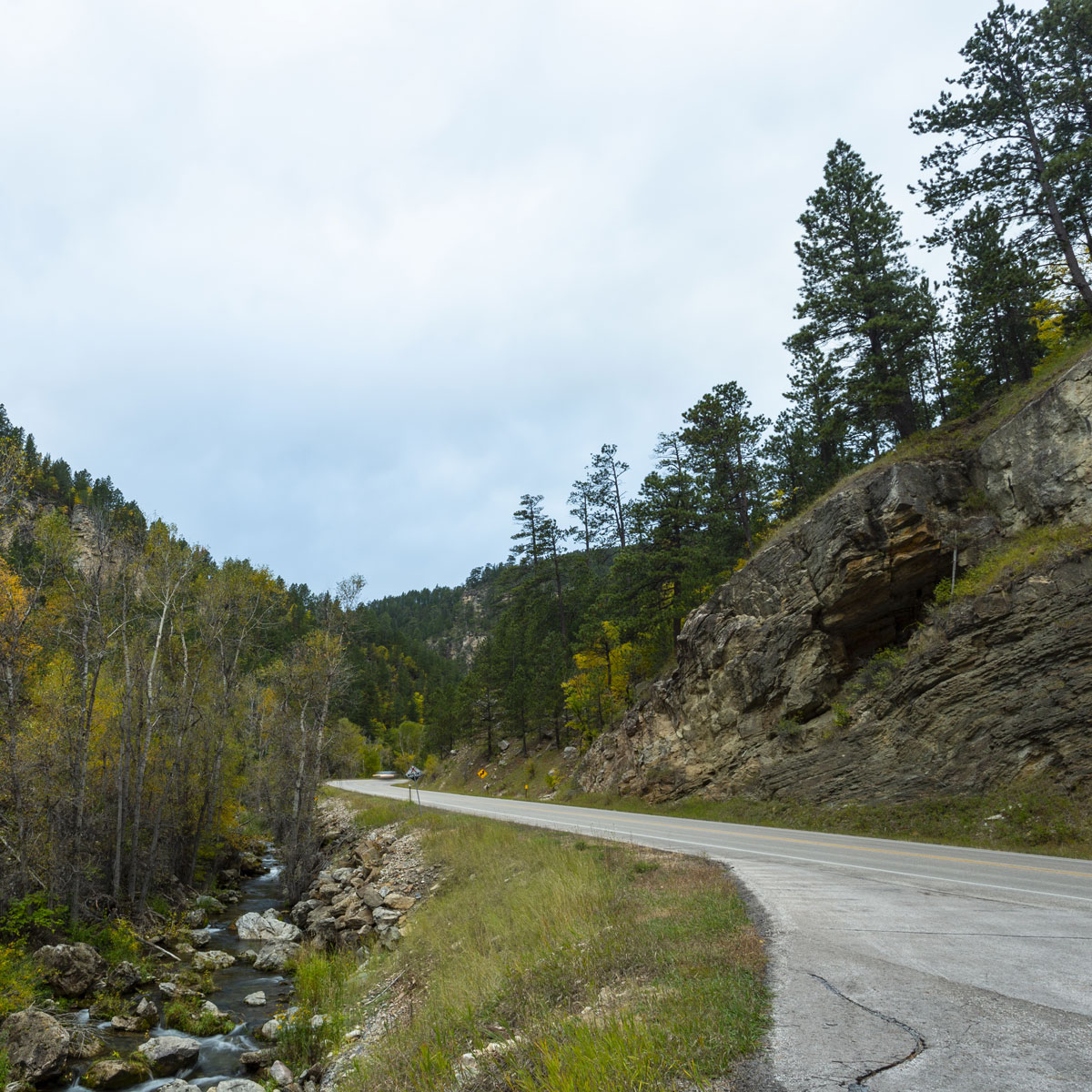 From a pulloff beside Spearfish Canyon Road one views the towering limestone walls of Spearfish Canyon while Spearfish Creek meanders beside the highway spilling over rocks among a green and yellow woodland. Diagonal lines in the canyon walls show the upward shift of the land over time.